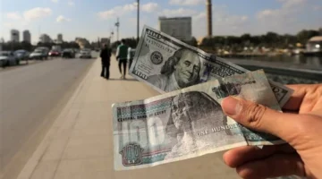 سعر الدولار في البنوك الحكومية والخاصة يتراجع إلى 47.41 جنيه ببنك مصر خلال ختام تعاملات اليوم